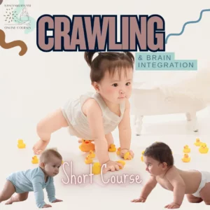 Crawling & Brain Integration Aanlynkursusse Online Course Short 11zon